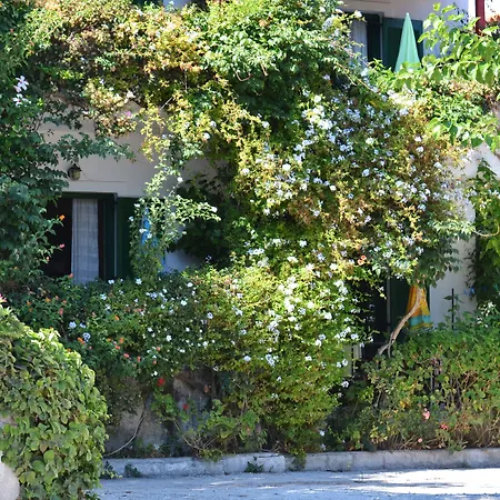 Lemonia Aparthotel Agios Sostis (Zakynthos)