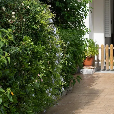 Lemonia Aparthotel 4*