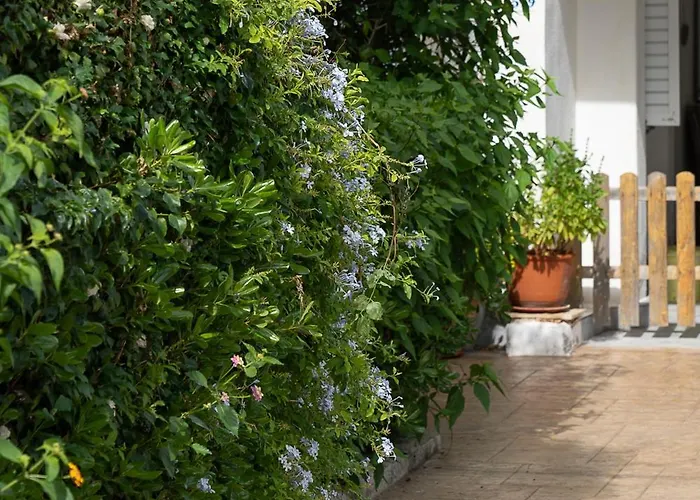 Lemonia Aparthotel 4*