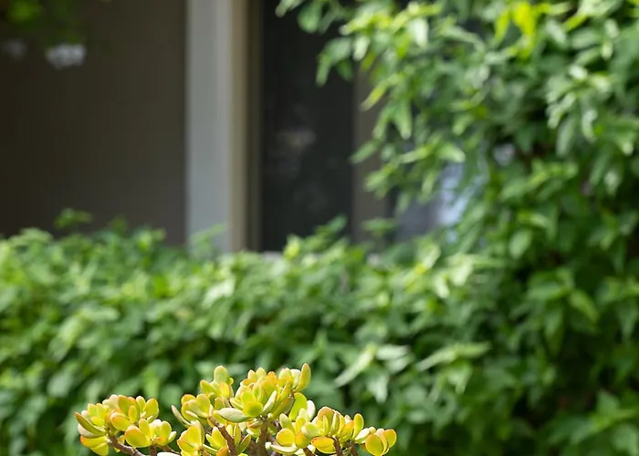 Aparthotel Lemonia Agios Sostis (Zakynthos)